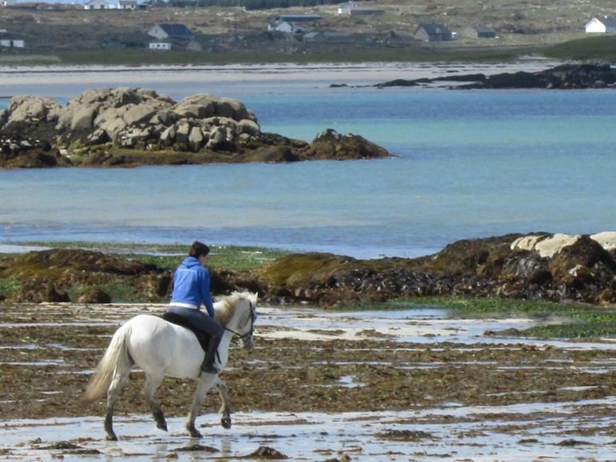 Сasa de vacaciones Waterside Cottage, Cashel Galway